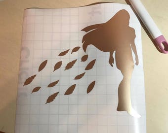 Pocahontas Decal Collection