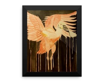 Roseate Spoonbill Framed poster