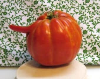Catapano Giant Heirloom Tomato Seeds