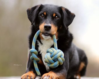 Wurfball für Hunde aus Kletterseil - Handgemacht und Nachhaltig