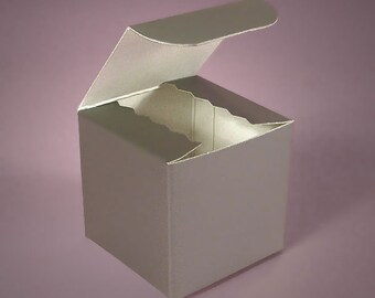 Silver Gift Box - 10 Pack