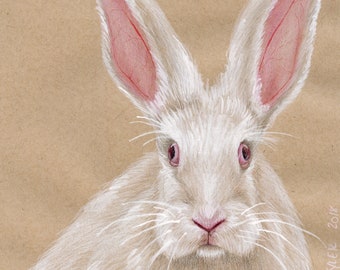 White Rabbit Original Drawing