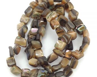 Paua shells, 6mm, rectangular pieces, 1 beach