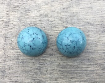 Vintage Robins Egg Domed Clip-On Earrings