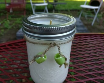 Citronella & a hint of Eucalyptus Soy Candle