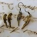 Macaw parrot bird gold tone earrings stud earrings hook earrings