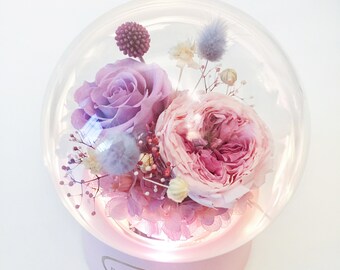 Preserved Rose in Music Ball