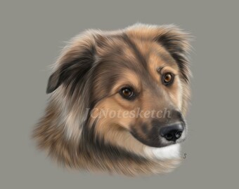 Custom Dog Portrait