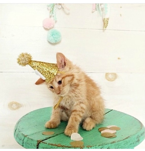 Cat Party Hat || Kitty Birthday || Animal Hat || Dog Crown || Busters Party Shop