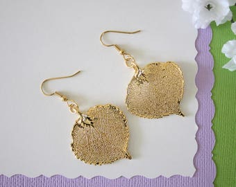 Gold Aspen Leaf Earrings, Lacey Aspen Leaf, Real Leaf Earrings , Aspen Leaf, 24kt Gold, Nature, LESM174