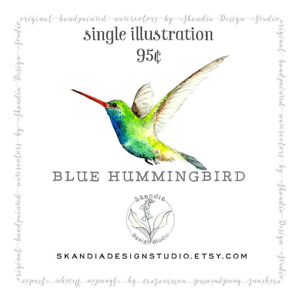 Hummingbird Clipart Handpainted Clipart Watercolor Clipart