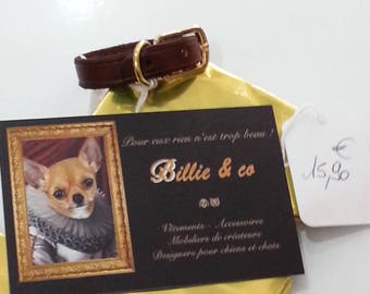 Leather small dog or cat collar