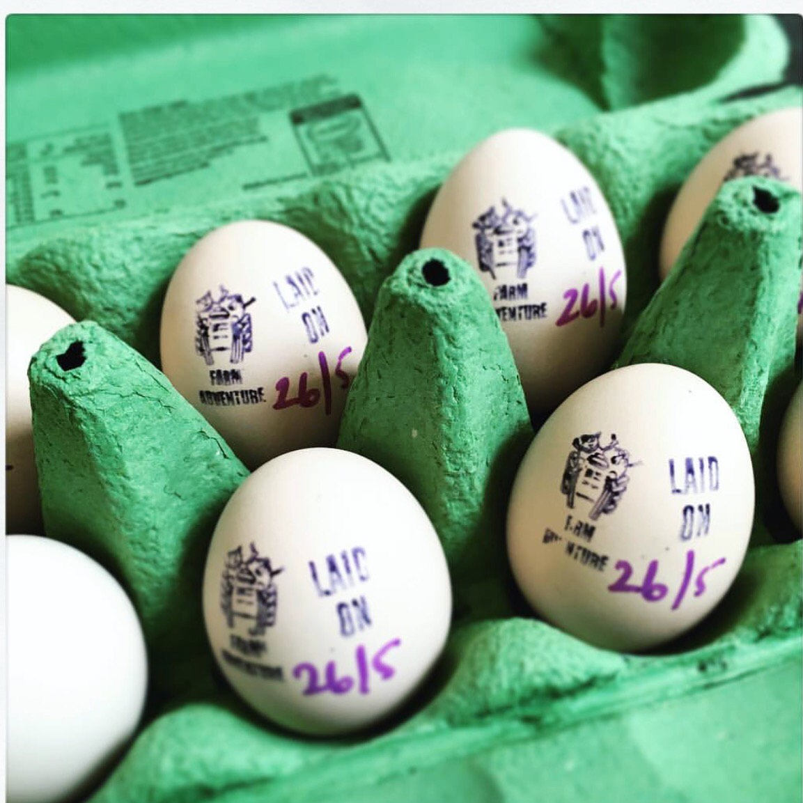 EGG STAMP, Stamp for eggs, Egg Marking Stamp and food ink Custom Logo