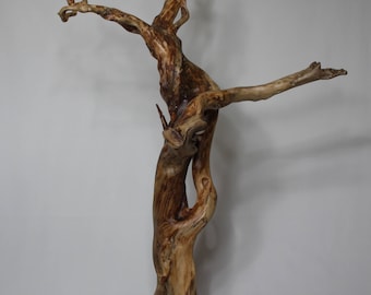 1 Driftwood sculpture. Driftwood. ONID design.