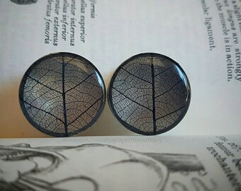 Skeleton Leaf plugs. For PAIR