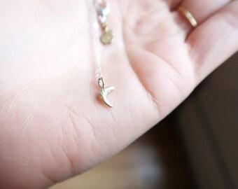 Claw Necklace with Brass pendant and Sterling Silver Chain. For Men and Women. Claw Amulet Necklace