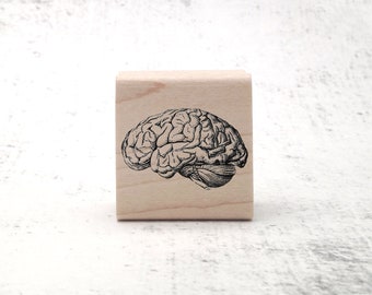 The Vintage Style Brain Stamp - Biology/Anatomy Illustration Rubber Stamp - Anatomical Stamp