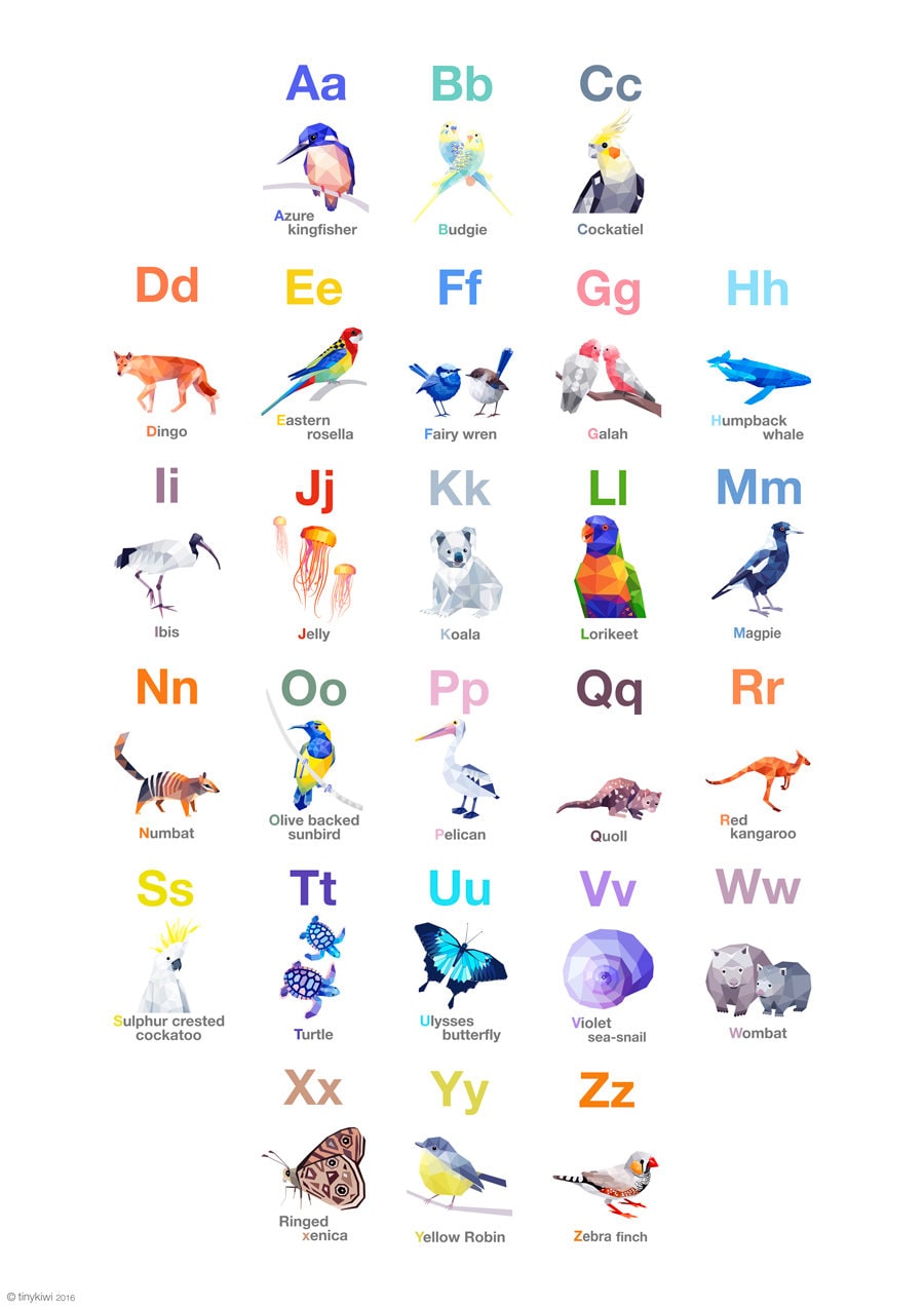 ABC Poster, Australian Alphabet, Australian bird art, Educational