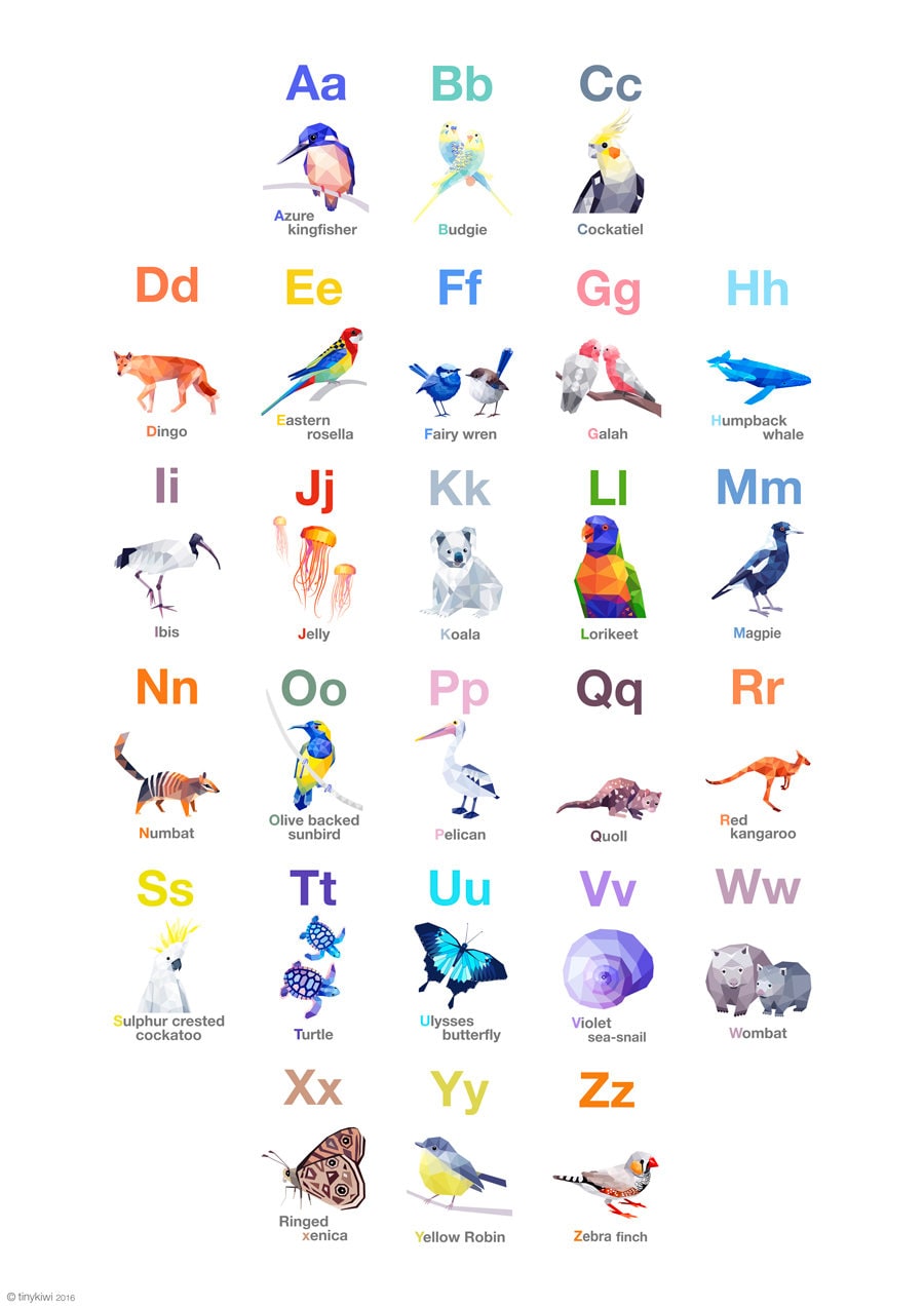 phonetic alphabet 7 in bird Poster, Australian Australian ABC Alphabet, art