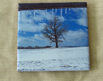 6" Ceramic Tile Trivet Icy Fence and Snowy Oak