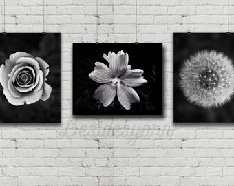 Black And White Art Flower Photography Print Flowers Dandelion Minimalist Black And White Art Flower Photography Print Flowers Dandelion Minimalist