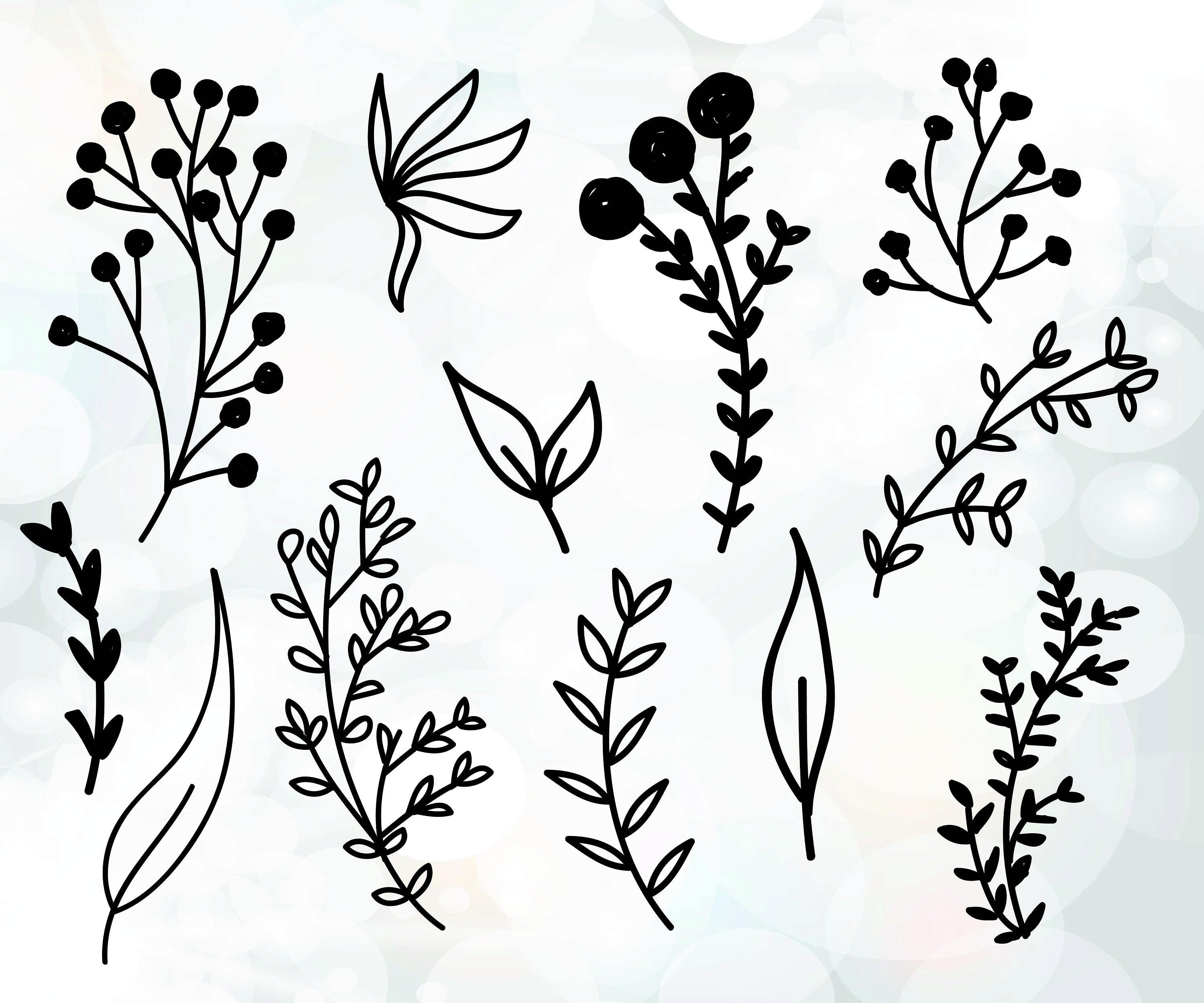 Download Branch Svg Files Plants Branch Vector Flower Decoration