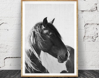 Horse Photo, Black and White Photography, Horse Print Wall Art, Icelandic Horse, Wilderness Print, Equestrian Art, Printable Art,