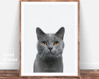Cat Nursery Print, Baby Girl Wall Art, Cat Lover Gift, Girl Nursery Cat, Pet Print, Grey Cat Print, Animal Printables, Babies Room Poster