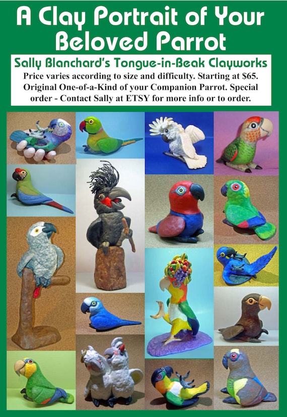 Special Order an Individual One-of-a-Kind Clay Caricature Portrait Sculpture of YOUR Parrot from Sally Blanchard's Tongue-in-Beak Clayworks
