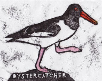 Oystercatcher Card | Greetings Card | British Birds | Printed in the UK on Recycled Card