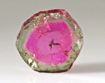 Watermelon Tourmaline Slice Polished 10.72 Carats