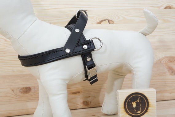 Leather Dog Harness, Black Dog Harness, Adjustable Dog Harness for Small and Large Dogs, Comfort Dog Harness, Easy Walk Soft Dog Harness