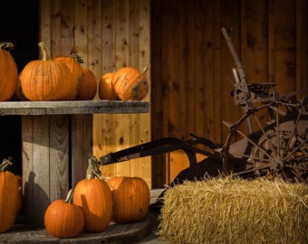 Pumpkin Fall Display Print