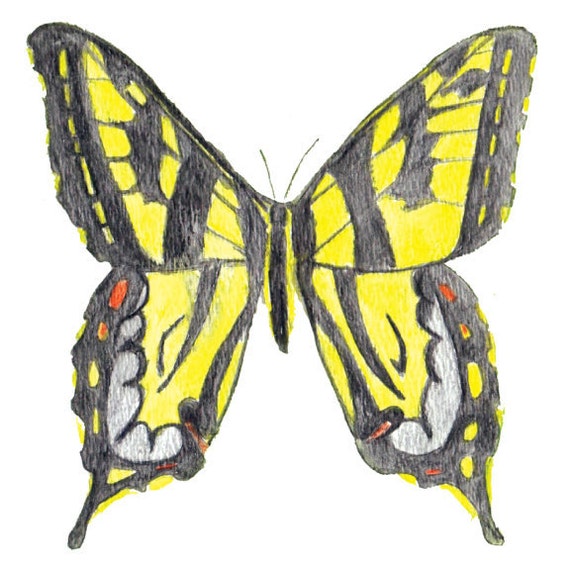 Butterfly Lonely Single Lifelike Yellow Black Watercolor Art