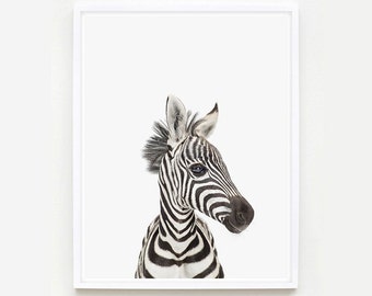 Baby Animal Nursery Art Print. Baby Zebra Little Darling. Safari Animal Wall Art. Animal Nursery Decor. Baby Animal Photo.