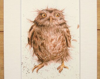 Little Owl Bird Print, Cute Animal Nursery Decor - Original Vintage Book Print, Mounted/ Matted Ready for Framing
