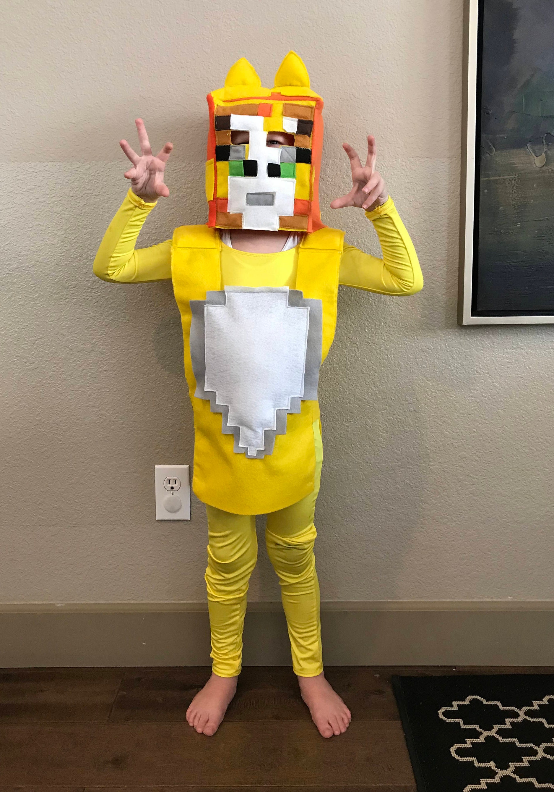 Minecraft Stampy Cat Costume