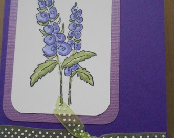 Happy Birthday Greeting Card