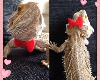 bearded dragon christmas outfits
