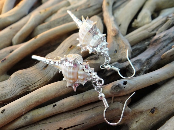 Little Murex Earrings - I'm Really A Mermaid Genuine Natural Seashell Shell Sea Silver Plated Earring Ear Ring Rings dangles drops Hooks Im