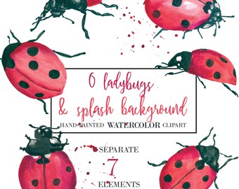 Watercolor Ladybug Clipart Hand Painted Clipart WaterColor Clipart Blog Graphics Summer Clipart Scrapbooking Commercial Use