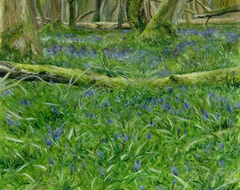 HillArt - Bluebell Escape Print