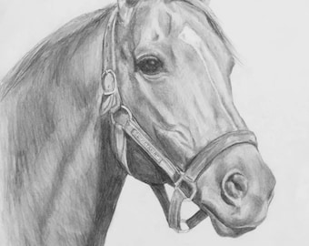 SECRETARIAT Portrait Art Print