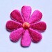 daisy small fuchsia & orange iron on applique