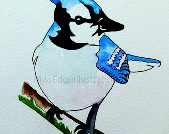 Blue Jay Watercolour