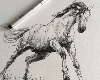 Watercolor Horse Painting