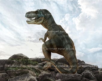 Digital Photography Backdrop / Digital Background / Instant Download / T-Rex / Tyrannosaurus Rex / Children's Props / Photography