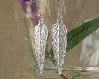 Small Mexican Bush Sage Leaf Earrings - Pure Silver Real Leaf, Botanical Herb Jewelry, Gardener Gift