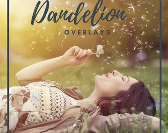 20 Dandelion Overlays, Photoshop Overlay, Dandelion flowers, Photography Overlays, Digital backdrop, Spring Overlays, Nature, Png file