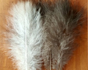 White & Black Turkey Feathers Cruelty Free Humane Naturally Molted Real Feathers #503